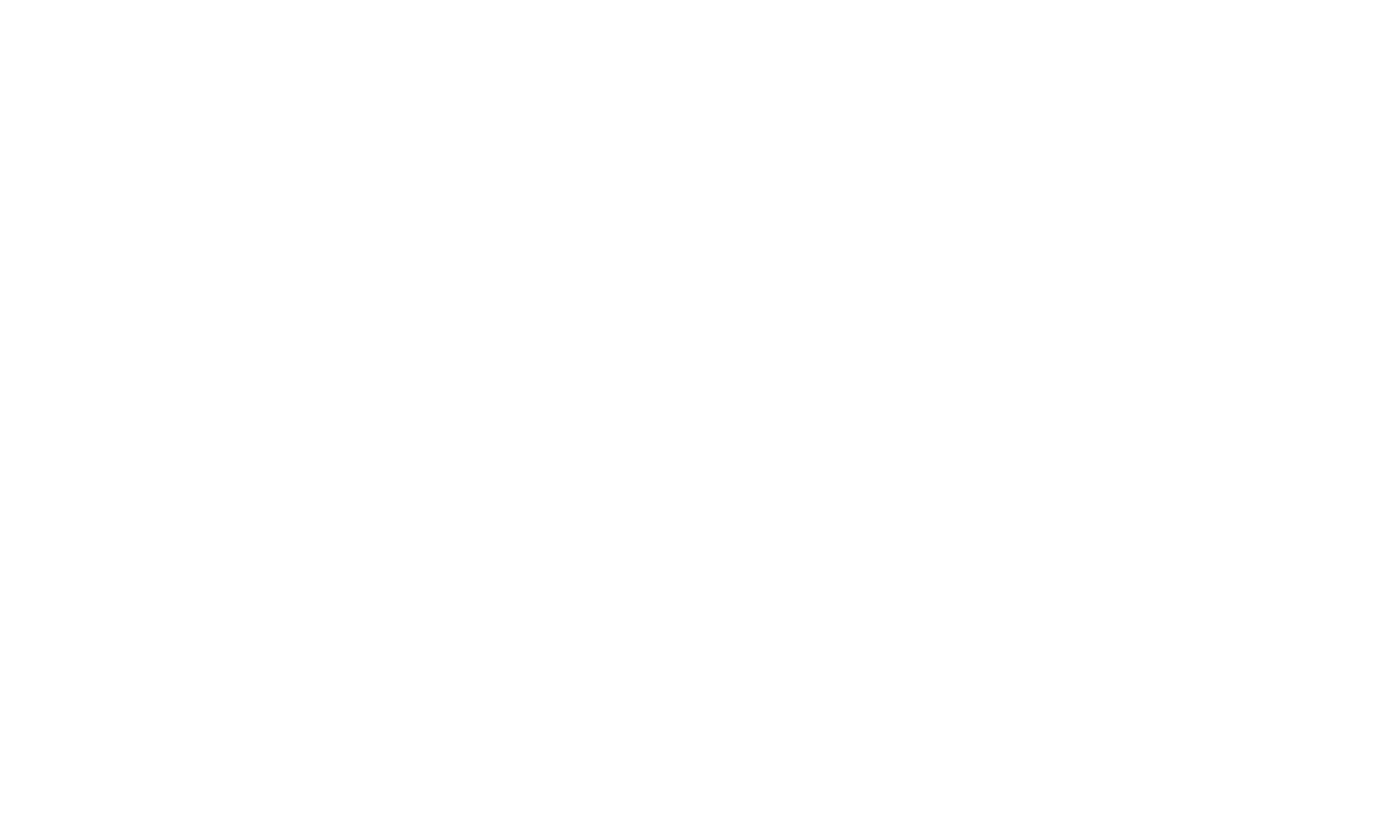 DataStorm Insights Logo